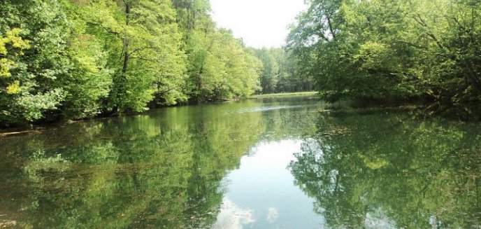 Plener nad Łyną. Fotografie będą promować Warmię