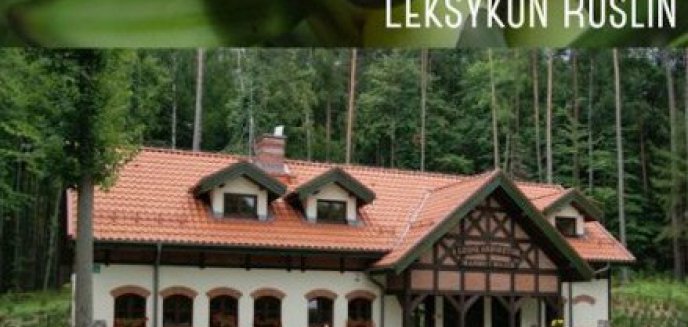 Po Leśnym Arboretum ze smartfonem w dłoni