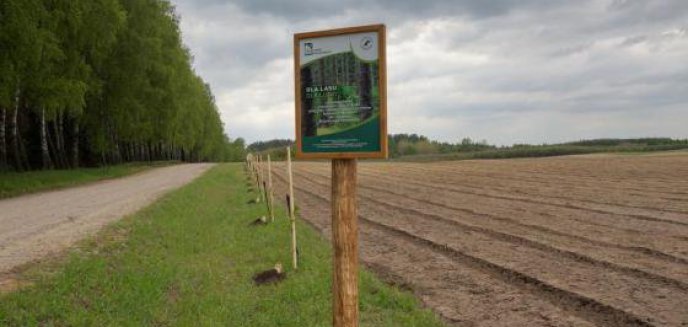 Leśna aleja sportowych gwiazd pod Olsztynem