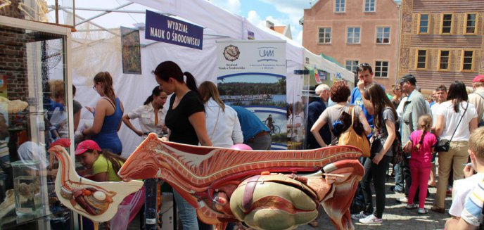 Artykuł: Piknik Nauki i Sztuki zwieńczeniem jubileuszu 15-lecia UWM