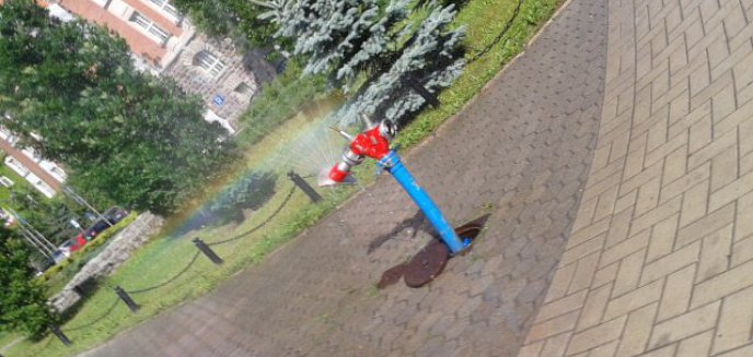 Kurtyny na upały