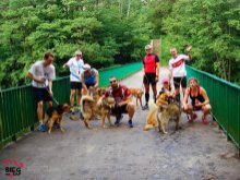 Kolejny trening z psiakami. Szefować będą maratończycy