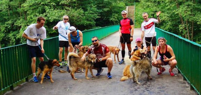 Bieg na sześć łap z ''Pszczółkowski Team''