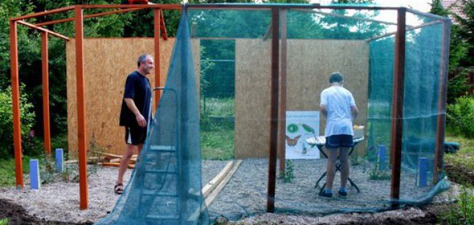 Motylarnia - wyjątkowe miejsce na Warmii i Mazurach!