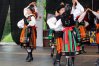 Zdjęcie 44