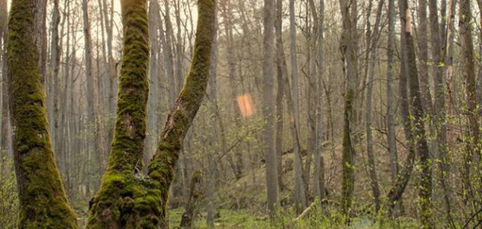 Fotografia w plenerze. Zobaczymy świt rzeki Wadąg latem