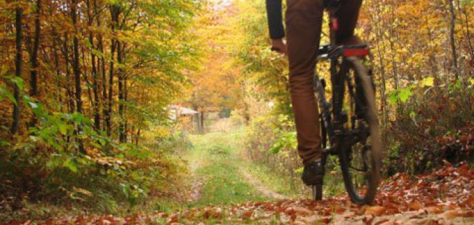 Artykuł: Nowa trasa rowerowa w olsztyńskim Lesie Miejskim