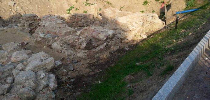 Barbakan znowu przezimuje pod przykryciem
