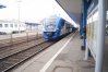 Zdjęcie 8