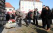 Zdjęcie 38
