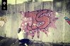 Zdjęcie 15