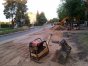 Zdjęcie 10