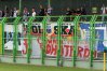 Zdjęcie 38
