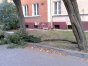 Zdjęcie 1