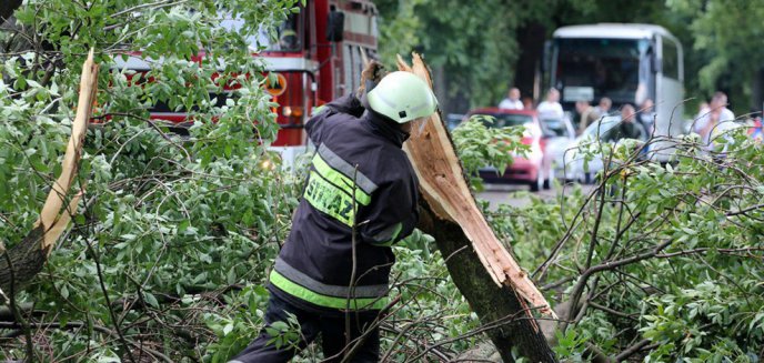 Synoptycy ostrzegają. Silny wiatr wróci na Warmię i Mazury