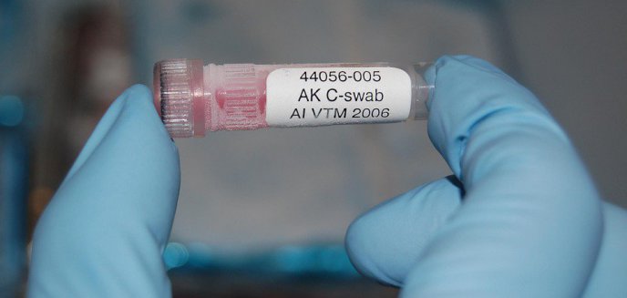 Artykuł: Kolejne zachorowania na świńską grypę w regionie
