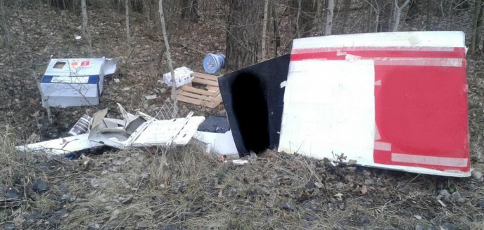 Artykuł: Wyrzucił śmieci do olsztyńskiego lasu. Na kartonach były jego dane