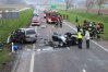 Zdjęcie 1