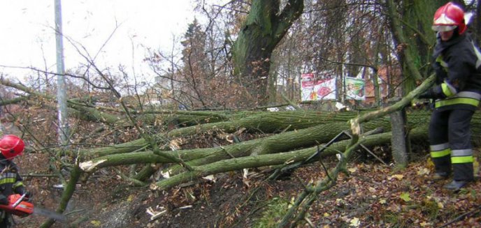 Artykuł: Silne burze z gradem przejdą nad regionem