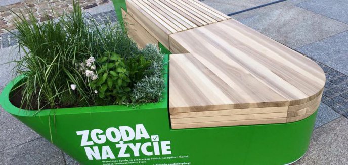 Olsztyn zgadza się na życie, czyli nietypowa ławka, która... dziękuje