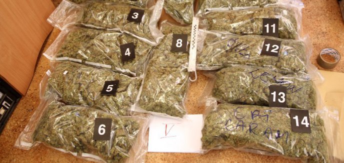 Artykuł: Worki wypchane marihuaną. CBŚ przejęło narkotyki warte 1,6 mln złotych!