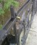 Kłódki wciąż pojawiają się na balustradach