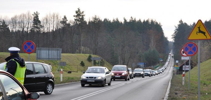 Jeden dzik trzy kolizje na trasie Olsztyn - Dobre Miasto