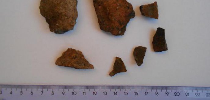 Artykuł: Znaleziska archeologiczne na placu budowy obwodnicy Olsztyna