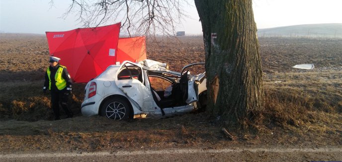 Artykuł: Tragiczne wieści w sprawie wypadku koło Dąbrówna. Zmarły kolejne dwie nastolatki