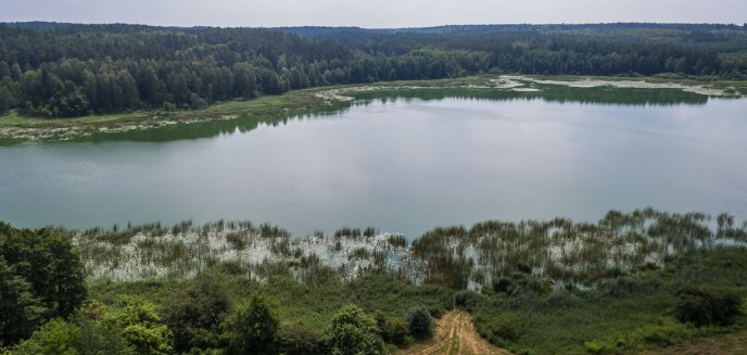 Olsztyńskie lasy oczami blogerów. To robi wrażenie!