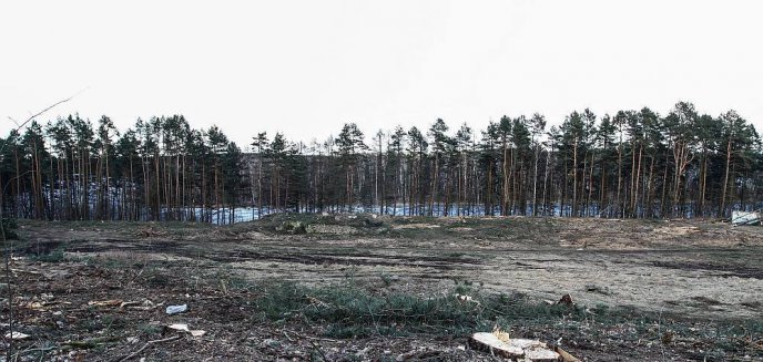 Artykuł: Nie będzie pensjonatu nad jeziorem Ukiel. Miasto idzie o krok dalej – zmieni plan zagospodarowania