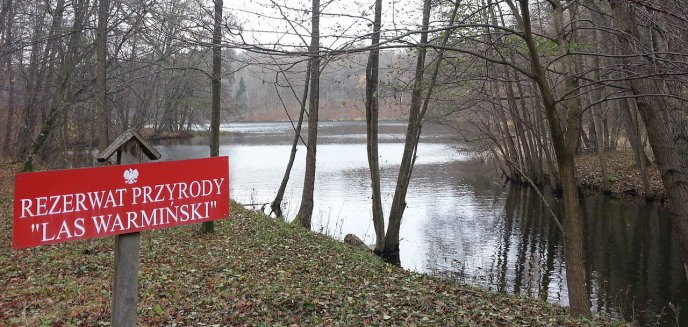 Artykuł: Nie będzie polowań w rezerwacie pod Olsztynem