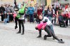 Zdjęcie 14
