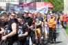 Zdjęcie 43
