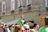 Zdjęcie 31