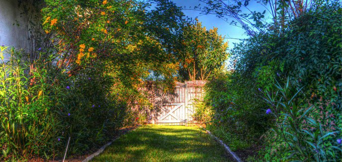 Modne aranżacje ogrodu, czyli jak zaprojektować współczesną oazę spokoju