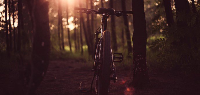 Artykuł: Ukradł rower na Bałtyckiej i uciekał przez las miejski. Tam czekali już policjanci