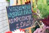 Zdjęcie 23