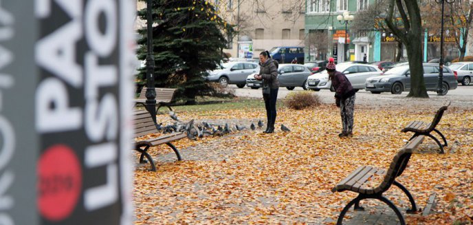 Artykuł: Jesienne liście na chodnikach. Problem zarządców nieruchomości