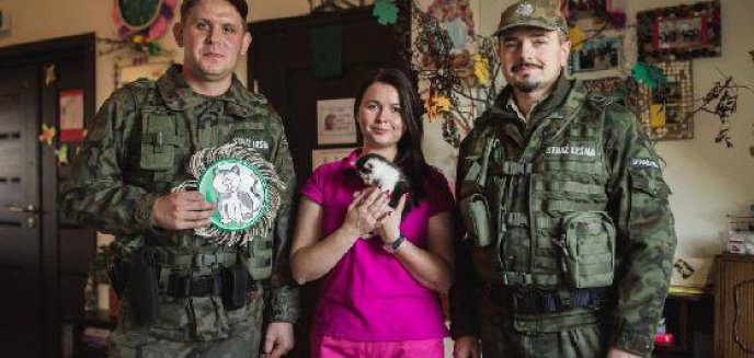 Uratowali pięć małych kociąt. Jeden z nich stał się ''terapeutą'' olsztyńskich seniorów