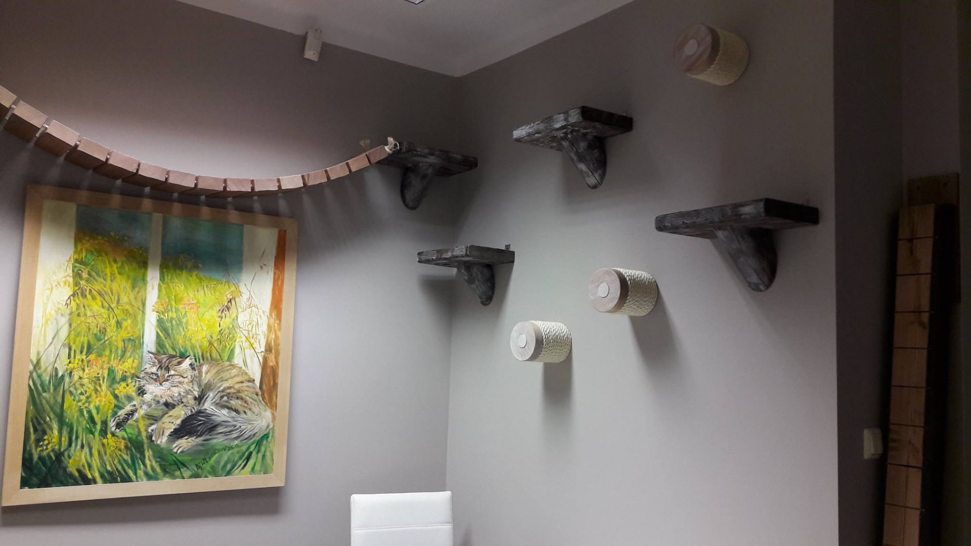 Przeczytaj Artykuł Na Temat Kociej Kawiarni