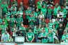Zdjęcie 13