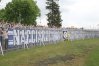 Zdjęcie 34