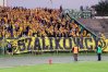 Zdjęcie 51