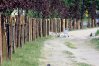 Na zdjęciach budowa traktu pieszo-rowerowego przy al. Obrońców Tobruku