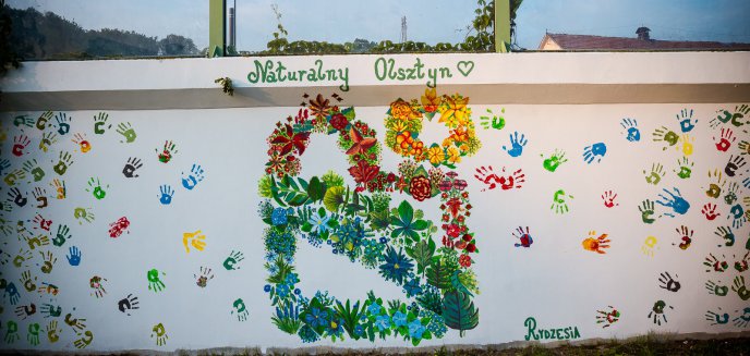 ''Naturalny Olsztyn''. Street art zdobi miasto