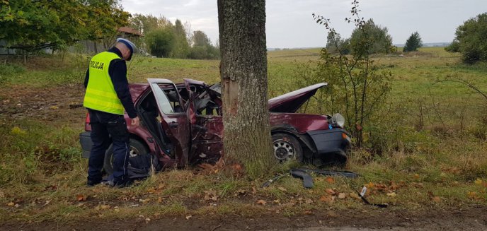 Artykuł: Samochód uderzył w drzewo. Nie żyje pasażer [ZDJĘCIA]