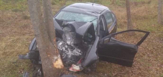 Artykuł: Kierowca wpadł do rowu i uderzył w drzewo. Dwie osoby ranne
