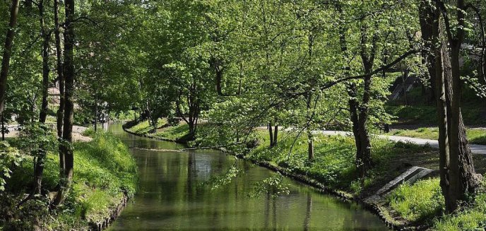 Zagospodarują teren letnich ogródków w Parku Podzamcze