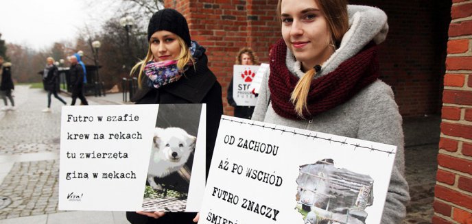 Artykuł: Dzień bez futra w Olsztynie. Obrońcy praw zwierząt wytykają politykom opieszałość [ZDJĘCIA]